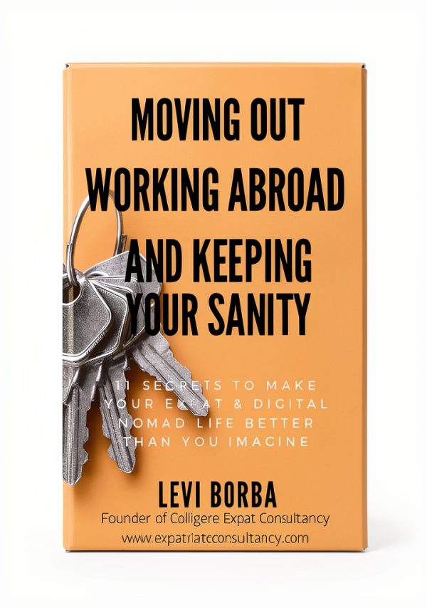 The Digital Nomad & Expat Mentor: A 4-Book Series for Business-0